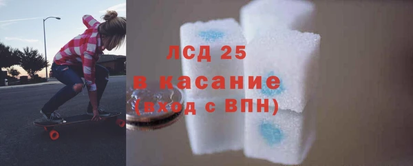 крисы Аркадак