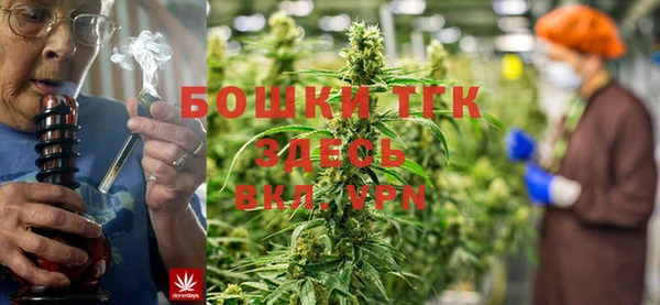 крисы Аркадак