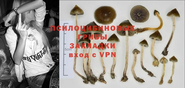 таблы Арсеньев