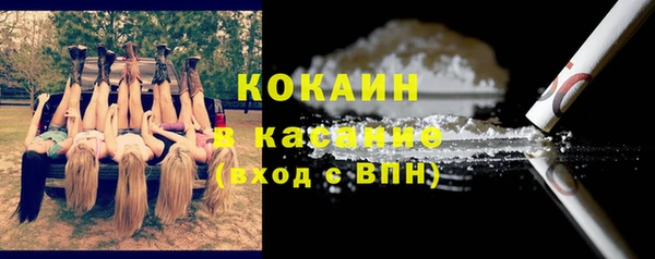 крисы Аркадак