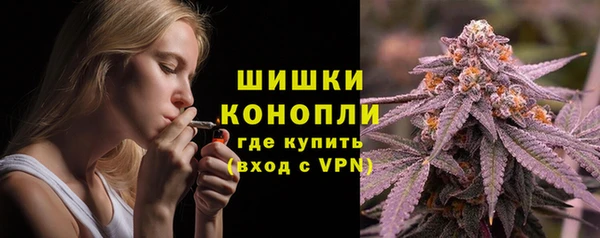 крисы Аркадак